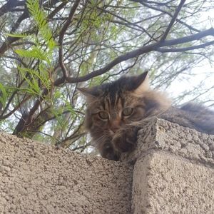 Meet your Posher, Echo